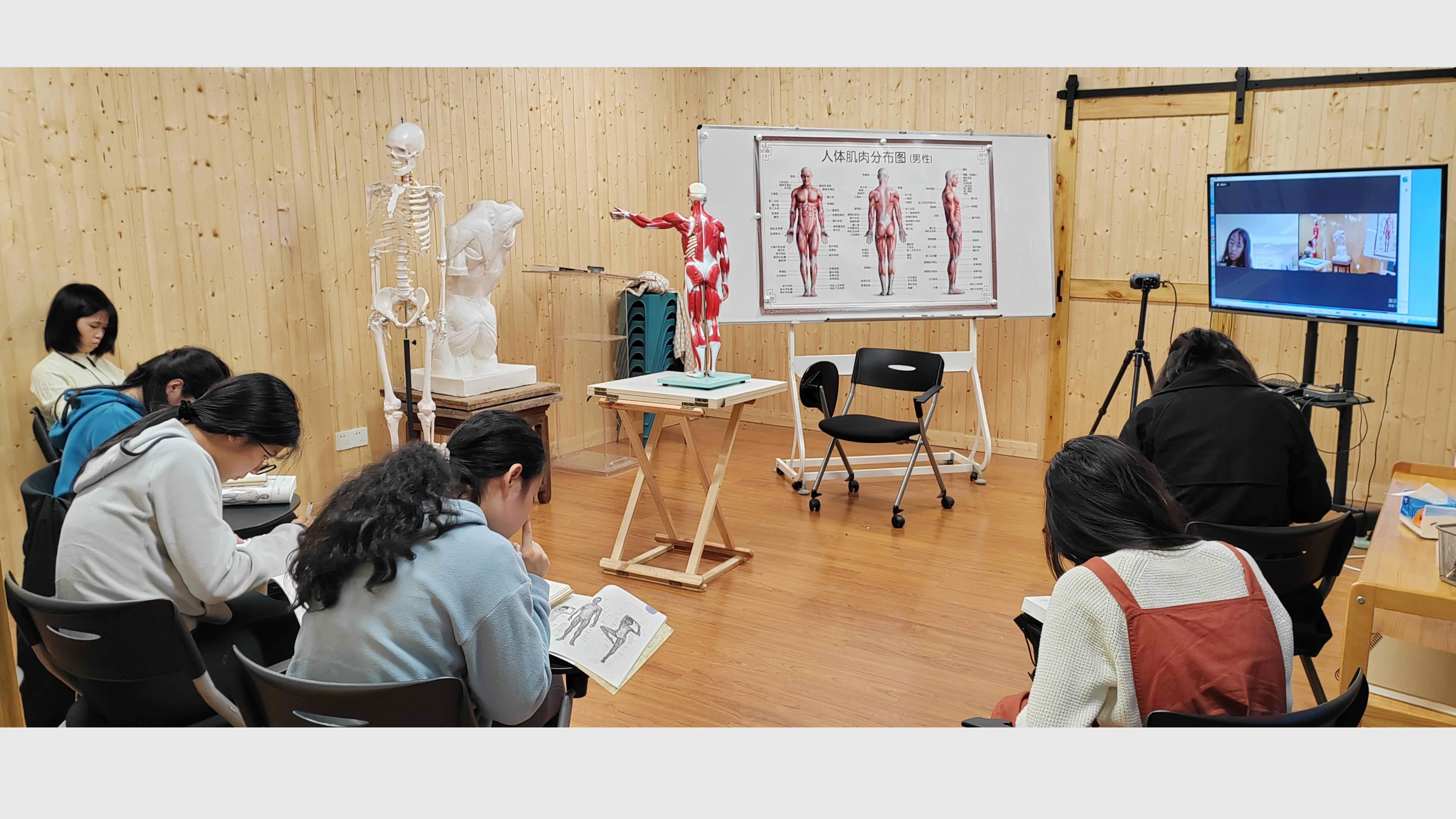 艺用人体解剖课